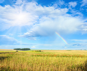 Similar image 884777