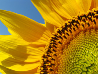 Similar image 884853