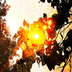 Similar image 884862