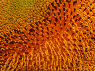 Similar image 884865