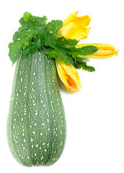 Similar image 884879