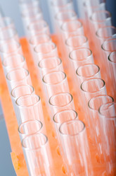 Similar image 884893