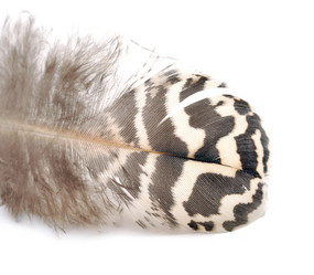 Similar image 884917