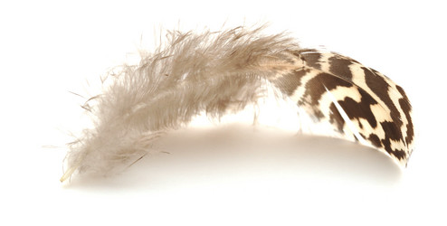 Similar image 884919