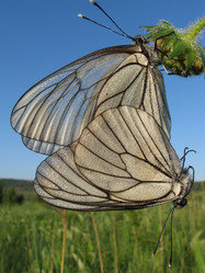 Similar image 884927