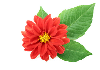 Similar image 884928