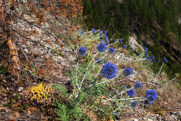 Similar image 884962