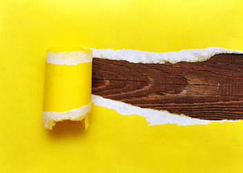 Similar image 884996