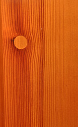 Similar image 885032