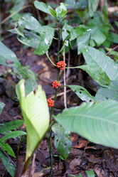 Similar image 885036