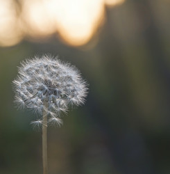 Similar image 885056