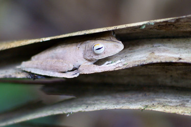 Similar image 885087