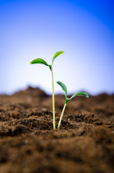 Similar image 885178