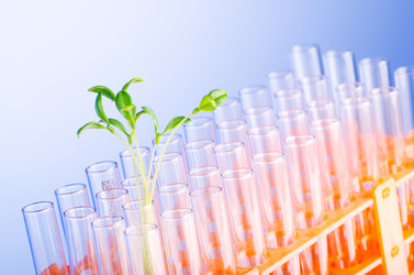 Similar image 885213