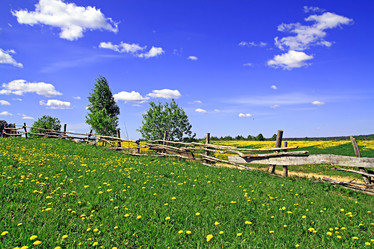 Similar image 885282