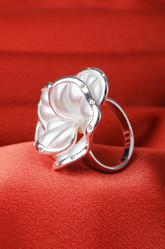 Similar image 885302