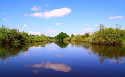 Similar image 885315