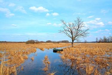 Similar image 885318