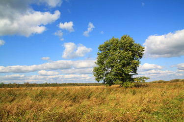 Similar image 885341