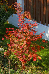 Similar image 885420