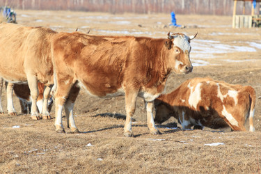 Similar image 885424