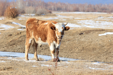 Similar image 885425