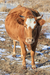 Similar image 885426