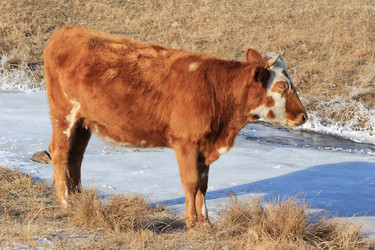 Similar image 885427