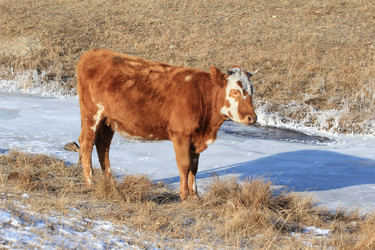 Similar image 885428