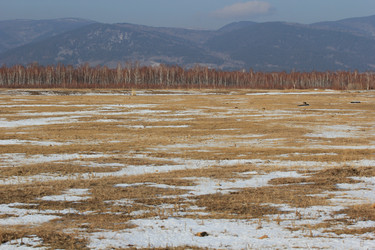 Similar image 885429