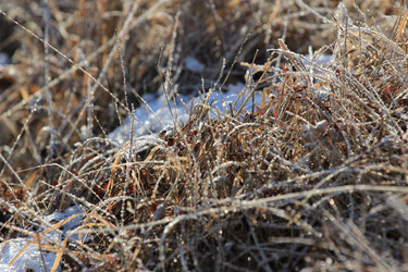 Similar image 885430