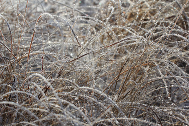 Similar image 885431