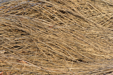 Similar image 885432