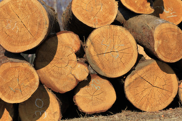 Similar image 885452