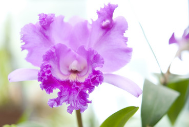 Similar image 885476