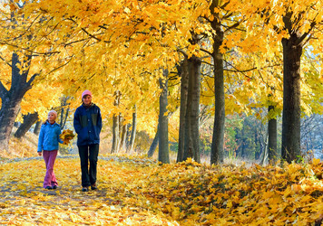 Similar image 885490