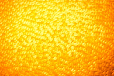 Similar image 885493