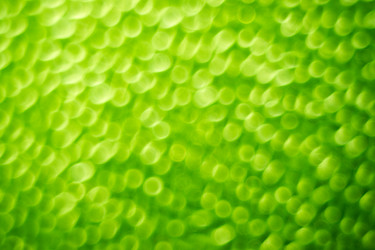 Similar image 885507