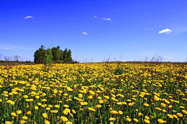 Similar image 885513