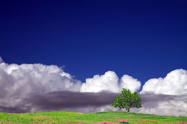 Similar image 885531