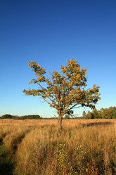 Similar image 885544