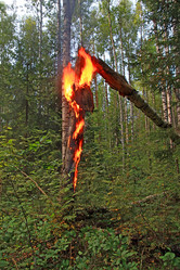 Similar image 885567