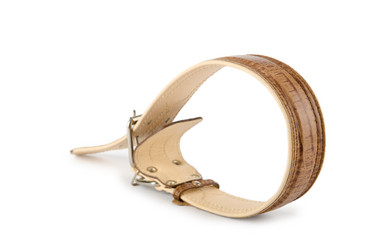 Similar image 885620