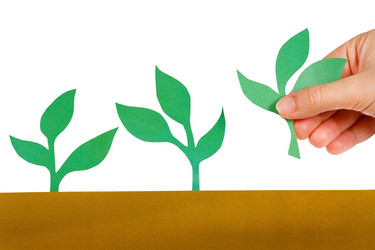 Similar image 885634