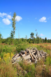 Similar image 885639