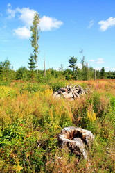 Similar image 885649