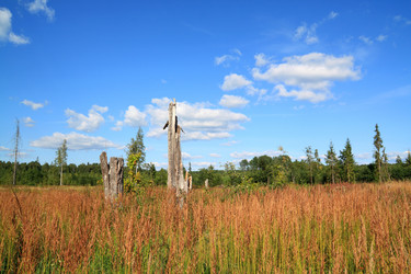 Similar image 885658