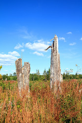 Similar image 885661