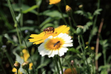 Similar image 885711