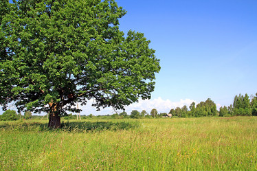 Similar image 885750